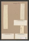 Pleurosigma angulatum var. delicatulum (W.Sm.) V.H. (de-Toni-Nr.: Genus 13, Species 1001) Zeichnungen Sammlung Grunow Nr. 2004 (NHMW-BOT-W0368851)
